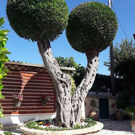 Flowers Studios Benitses  Dış mekan fotoğraf