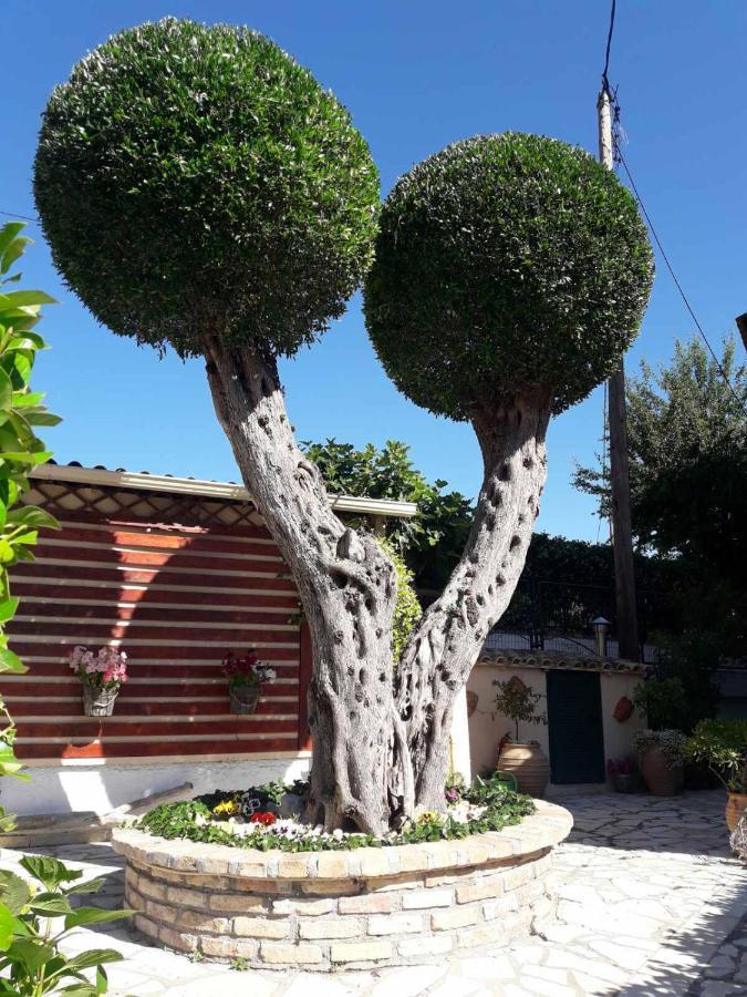 Flowers Studios Benitses  Dış mekan fotoğraf