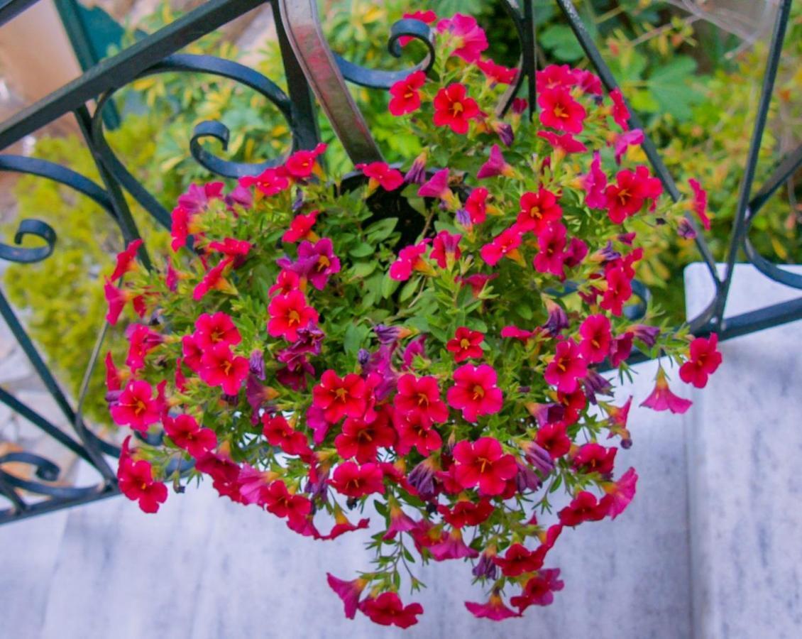 Flowers Studios Benitses  Dış mekan fotoğraf